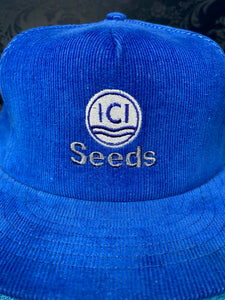Vintage 90's Corduroy ICI "Seeds" snapback