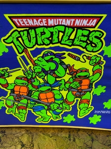 Vintage 1989 Teenage Mutant Ninja Turtles Suite Case